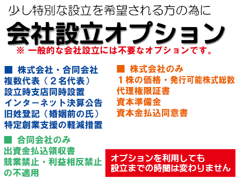 会社設立オプション