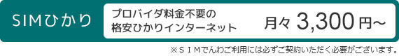 SIMひかり 月々3,300円～